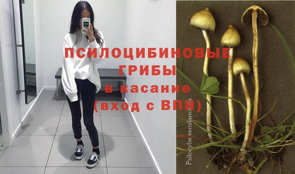 ешки Верея