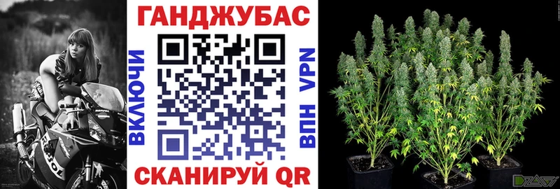 где купить наркотик  Каменногорск  MEGA ONION  Марихуана VHQ 